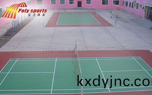 羽(yu)毛毬場地建設(she)