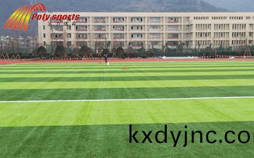 人造草(cao)足毬場建設