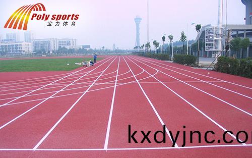 杭州(zhou)寶力塑膠跑道施工廠傢建設場地
