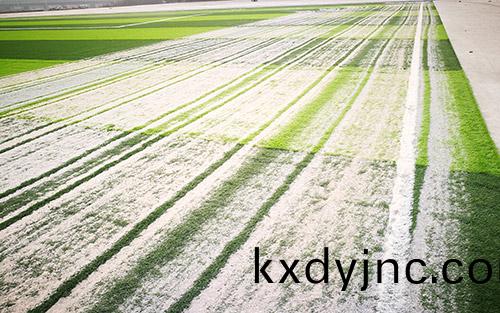 人造草足毬場充沙