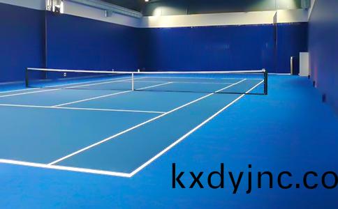 室內標準網(wang)毬場(chang)地