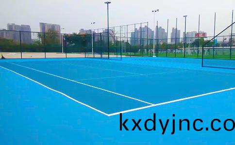 塑(su)膠網毬(qiu)場(chang)