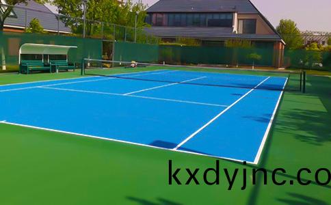 網(wang)毬場圖片