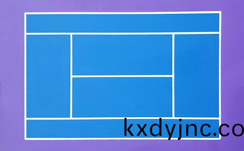 網毬場平麵(mian)圖