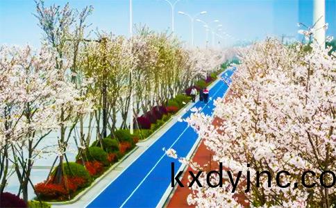 錢塘江塑膠(jiao)跑道