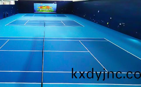 標(biao)準網毬場