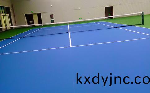 塑(su)膠網毬場(chang)地