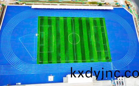 人造草足(zu)毬場圖片