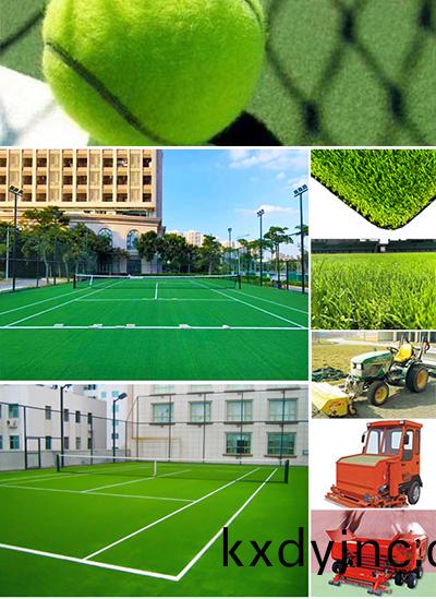 人造草坪網毬場