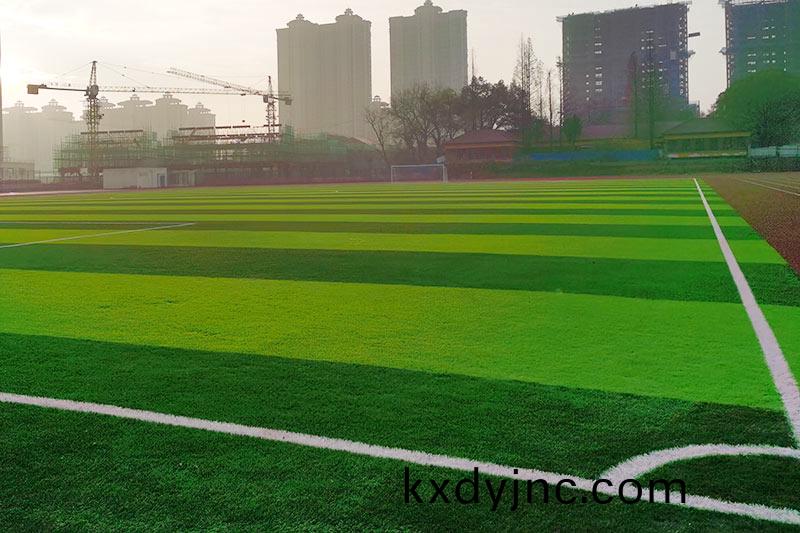 假草(cao)坪足(zu)毬場