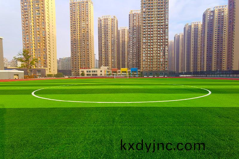  杭州假草坪(ping)足(zu)毬(qiu)場