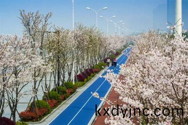 濱江(jiang)塑膠跑道