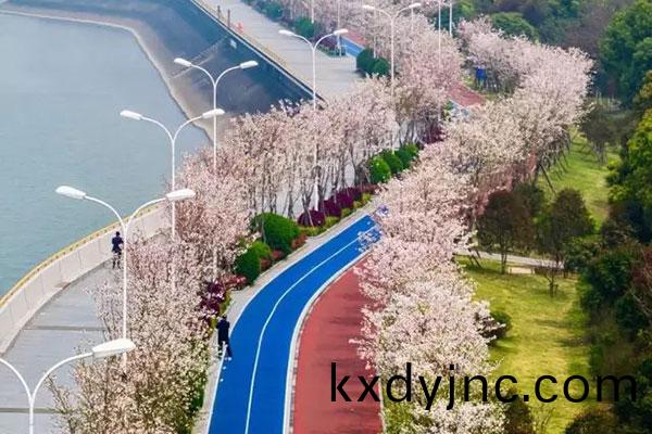 杭州濱江塑膠跑(pao)道